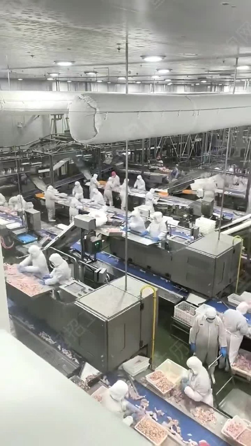 郑州蝴蝶山食品,让我们一起探索各种粮食制品的魅力吧!