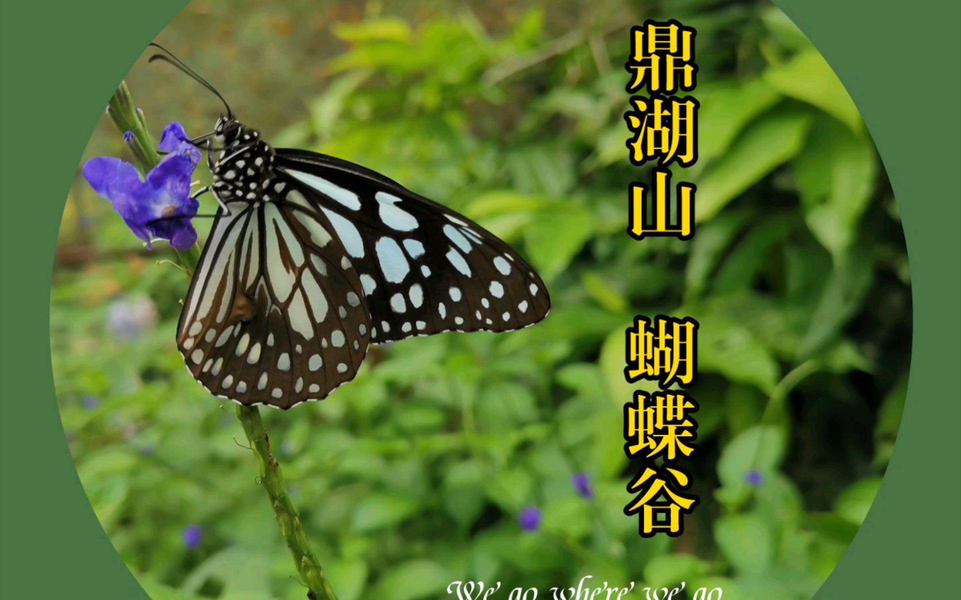 蝴蝶山食品